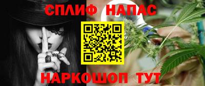 прущие грибы Бийск