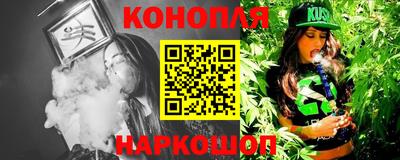 прущие грибы Бийск