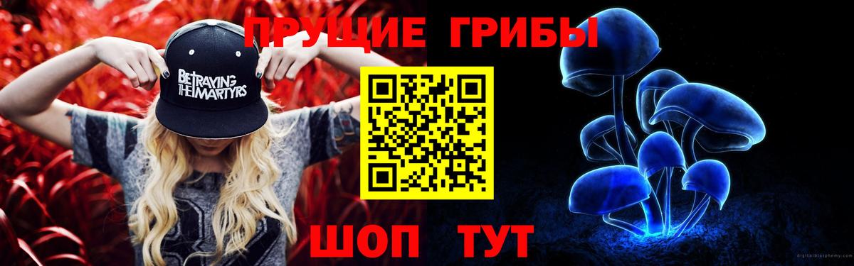 Псилоцибиновые грибы Psilocybe Богородицк